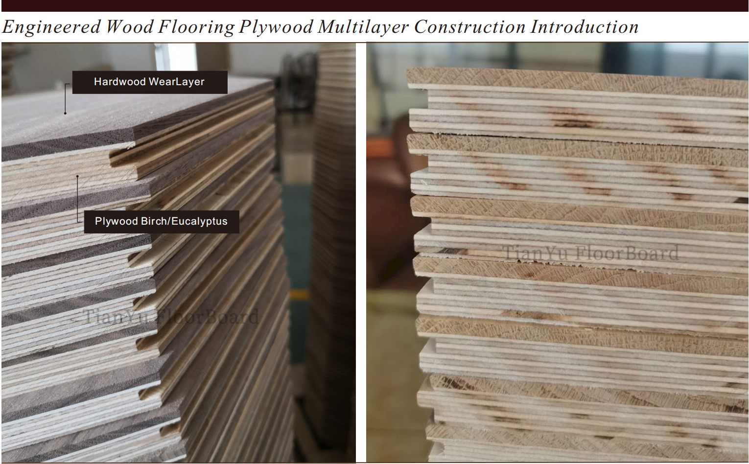分层复合实木地板 Engineered Wood Flooring Structure  天誉地板