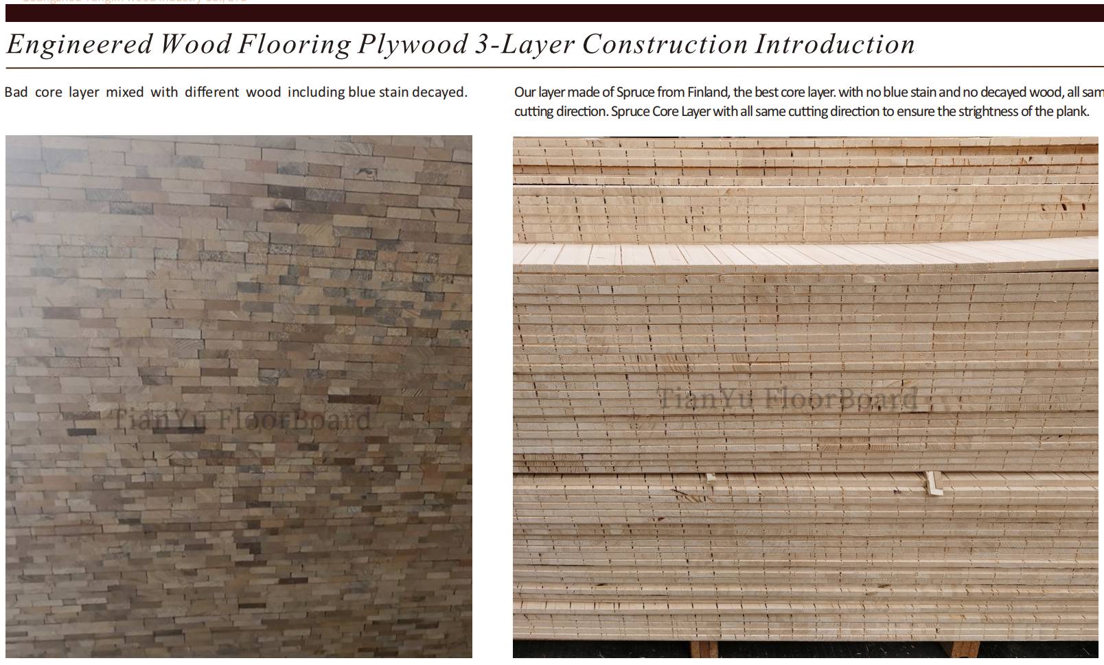 分层复合实木地板 Engineered Wood Flooring Structure  天誉地板